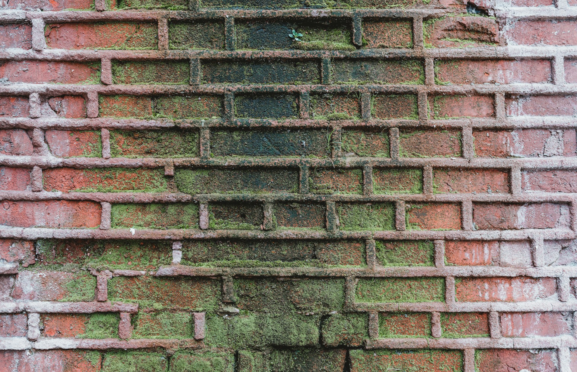 Mold